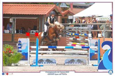Etalon Welsh pony  - g&eacute;n&eacute;tique et performances - IPO138