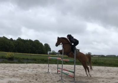 poney pfs As1 / As &eacute;lite