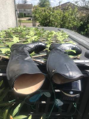 VEND BOTTES Carvalho