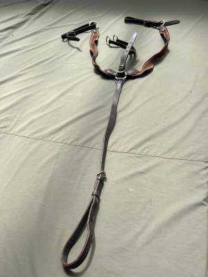 Collier de chasse &eacute;quitation  Cuir marron &eacute;lastique mar