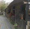 Pension chevaux 