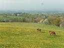 Ecurie des monts d'or