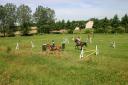 pension chevaux, cadre verdoyant, proche paris