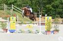 Gracieux d'Osmont - Etalon SF crins lavés 7 ans 1m71