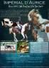 etalon SF homozygote TO/TO EE AA