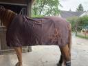 Chemise pour cheval