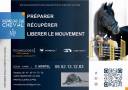 Massage et technologies innovantes pour chevaux