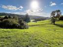 Prés herbage de qualité pour retraité Lisieux-Hermival