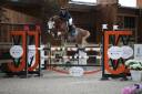 Goldwyn d'Embets PFS 1m38