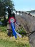 Performer As poney Élite