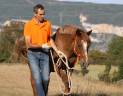 Stage équitation éthologie et liberté