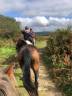 Balades et randonnées à cheval en Bretagne