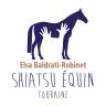 Shiatsu équin 