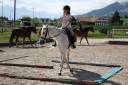 Camps d'équitation été 2025