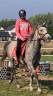 Cheval *AA* 8 ans
