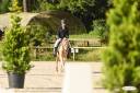 CDI MONITEUR ENSEIGNANT D'ÉQUITATION