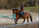 4 ans mâle Algator X Rambo
