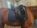 Selle de dressage BATES 