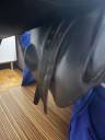 Selle Time rider 