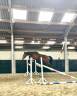 2 ans par Joker D’Euskadi (Diarado) 