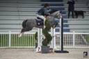 Poney D gros moyens 
