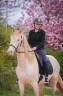 Hongre Pure Race Espagnole 3 ans crème + perle