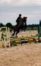 Deux supers chevaux à vendre chez l’élevage du Mas du r