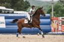Hongre, 10 ans