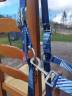 Licol Eurostar Bleu grand cheval