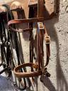 Filet taille cheval en cuir