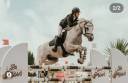 recherche d'emplois saisonnier autour des chevaux 