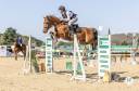 Selle Francais - hongre 8ans