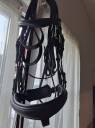 Bride dressage norton noire FS  