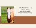 Quarter Horse - jument 2022 - Palomino