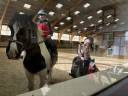 Moniteur equitation