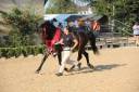 SAILLIE ETALON PONEY