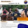 Moniteur/rice CDI 35H poney club