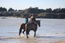 Haras, 33 hectares proche de la mer