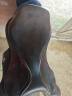 Selle Ikonic 17"