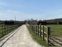 Haras d'élevage 77 hectares