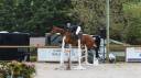 Jument Cso / dressage 