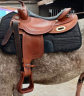 selle western Pool's 3010 type reining 