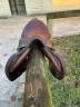 Selle Obstacle Antares Altair