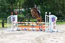 cheval 