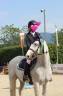Hongre pfs 9 ans CSO