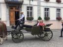 À vendre Landau 