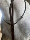 Martingale 