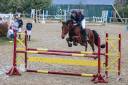 Hongre 7 ans obstacle 