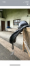 Selle EURODIRING 17p
