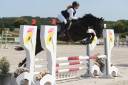 Cheval amateur 8 ans 